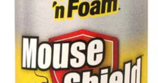 DAP Mouse Shield Foam 