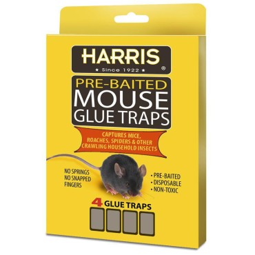 P F Harris HMG-4 MOUSE GLUE TRAP W/LURE