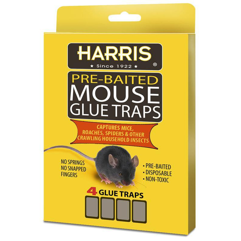 P F Harris HMG-4 MOUSE GLUE TRAP W/LURE