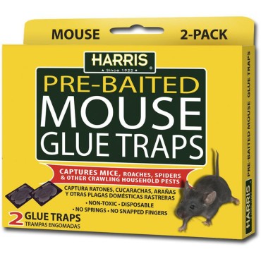 P F Harris HMG-2 2 PK MOUSE GLUE TRAP