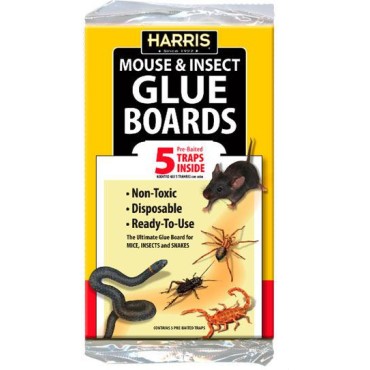 P F Harris GB5 MOUSE/BUG/SNAKE GLUE BOARD